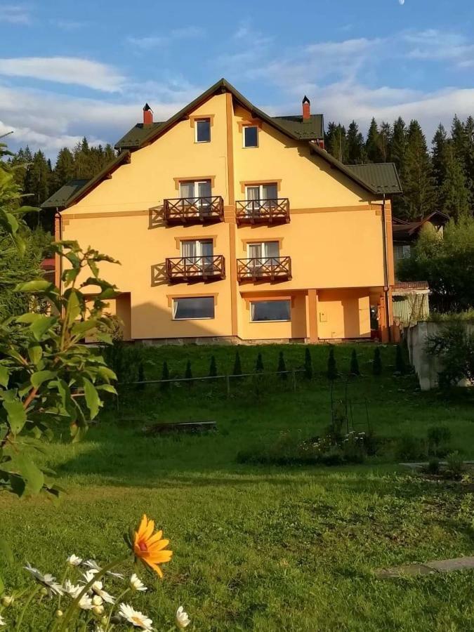 Гірська Палітра Slavske Exteriör bild